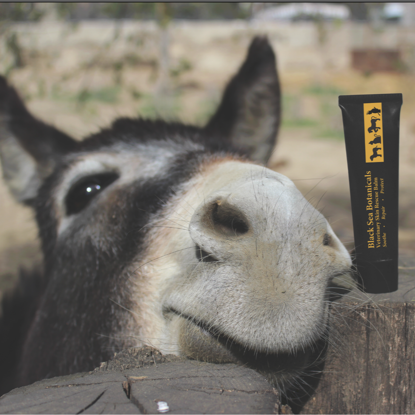 BSB SKIN RESCUE BALM, 1 oz.