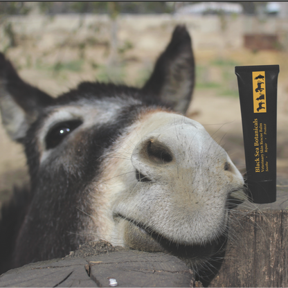 BSB SKIN RESCUE BALM, 1 oz.